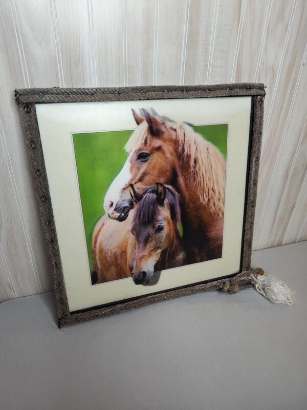 Lariat Rope Framed Horse Picture - Image 3